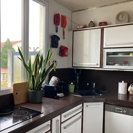 Maison Terrasse Et Jardin A Proximite De Paris * L'Hay-les-Roses